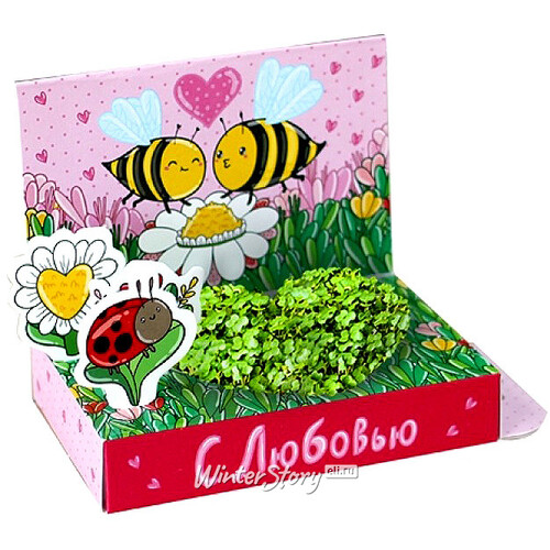 Подарочный набор Живая открытка - С Любовью Happy Plant