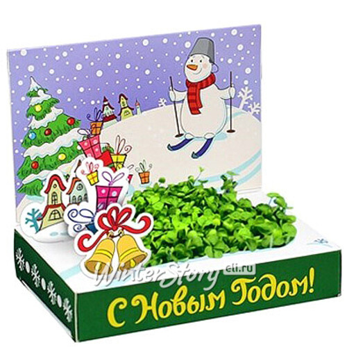 Подарочный набор Живая открытка - Удачи в Новом году Happy Plant