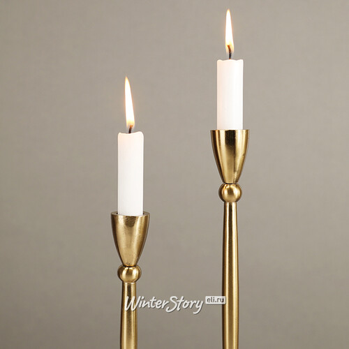 Декоративный подсвечник для 1 свечи Асемира 30 см золотой Koopman