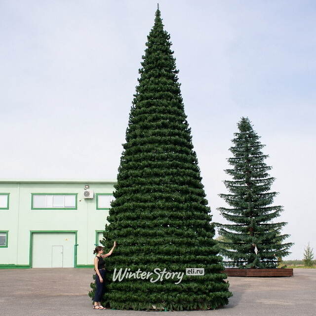 Уличная каркасная елка Испанская 6 м, ПВХ GREEN TREES (Грин Трис)
