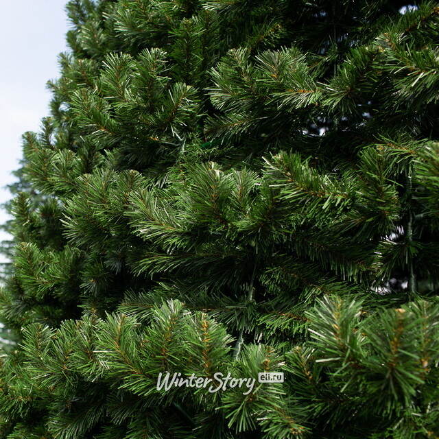 Уличная каркасная елка Испанская 6 м, ПВХ GREEN TREES (Грин Трис)