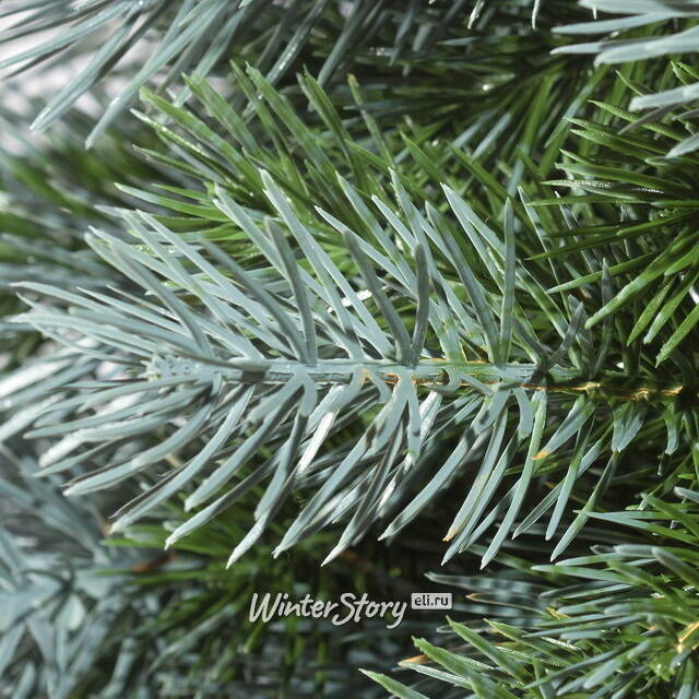 Искусственная елка на ножке Жаклин 150 см зелено-голубая, ЛИТАЯ 100% ElkaDe