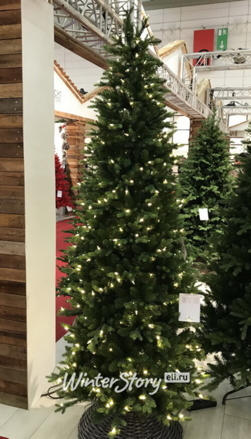 Искусственная стройная елка с гирляндой Каррингтон 198 см, 300 теплых белых LED ламп, ЛИТАЯ + ПВХ National Tree Company