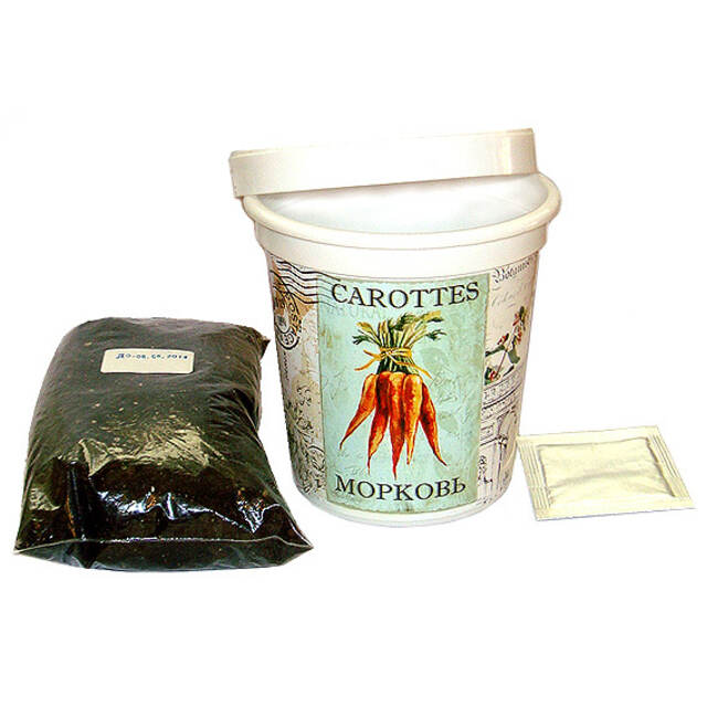 Набор для выращивания цветка Ромашка Rostokvisa (Ростоквиса)