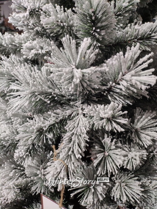 Искусственная елка Монтана заснеженная 180 см с натуральным стволом, ЛЕСКА + ПВХ Kaemingk