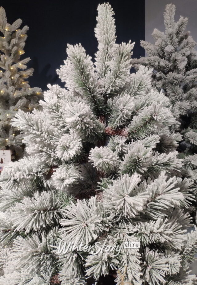 Искусственная елка Монтана заснеженная 180 см с натуральным стволом, ЛЕСКА + ПВХ Kaemingk