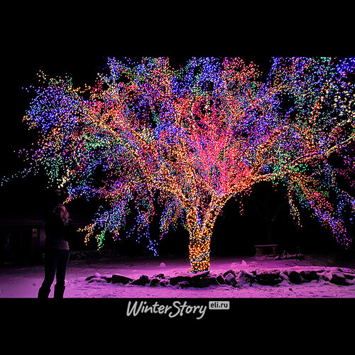 Гирлянды на дерево Клип Лайт Quality Light Эксклюзив Мультиколор 30 м, 300 LED ламп, черный ПВХ, IP44 BEAUTY LED