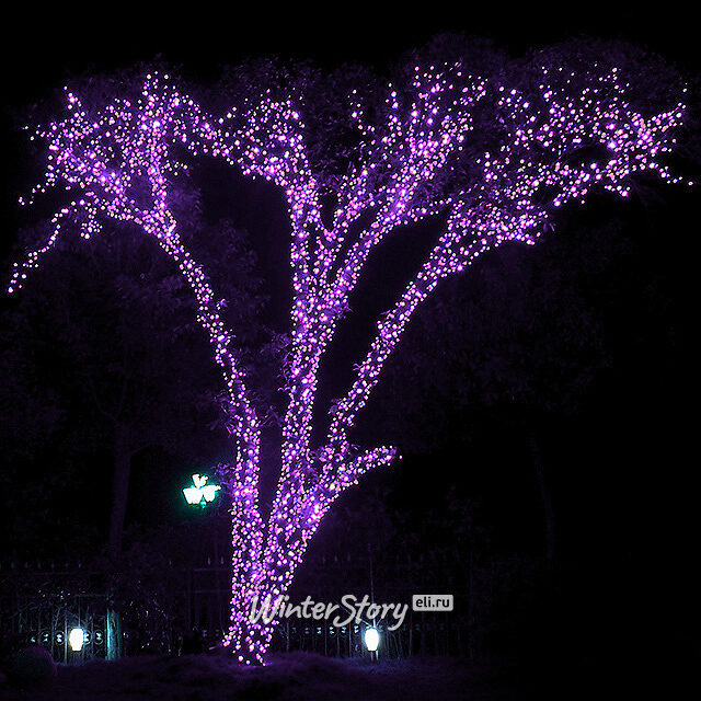 Клип Лайт - Спайдер Premium Led 60 м, 600 пурпурных LED ламп, прозрачный СИЛИКОН, IP54 BEAUTY LED