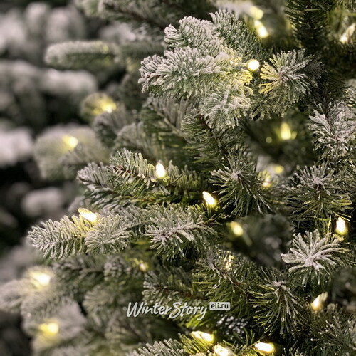 Искусственная елка с гирляндой Шеффилд заснеженная 198 см, 450 теплых белых ламп, ЛИТАЯ + ПВХ National Tree Company