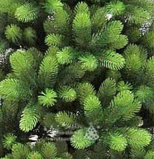 Искусственная елка Supreme Extra 180 см, ЛИТАЯ 100% Царь Елка