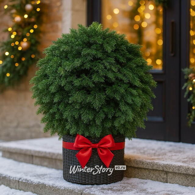 Искусственная Туя-шар 70 см, ЛИТАЯ 100% ElkaDe