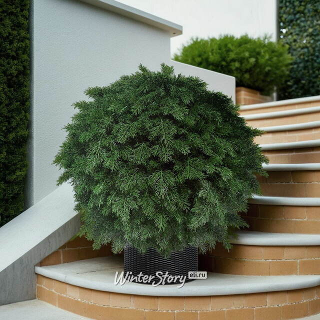 Искусственная Туя-шар 70 см, ЛИТАЯ 100% ElkaDe