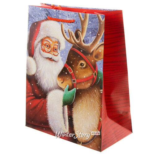 Подарочный пакет Санта с северным другом 25*20 см Due Esse Christmas