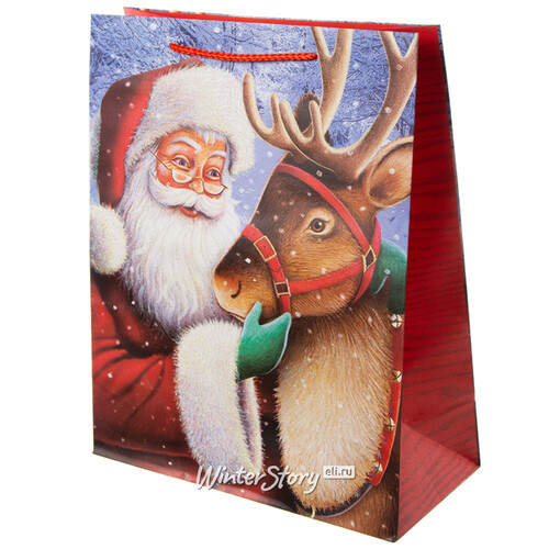Подарочный пакет Санта с северным другом 33*27 см Due Esse Christmas