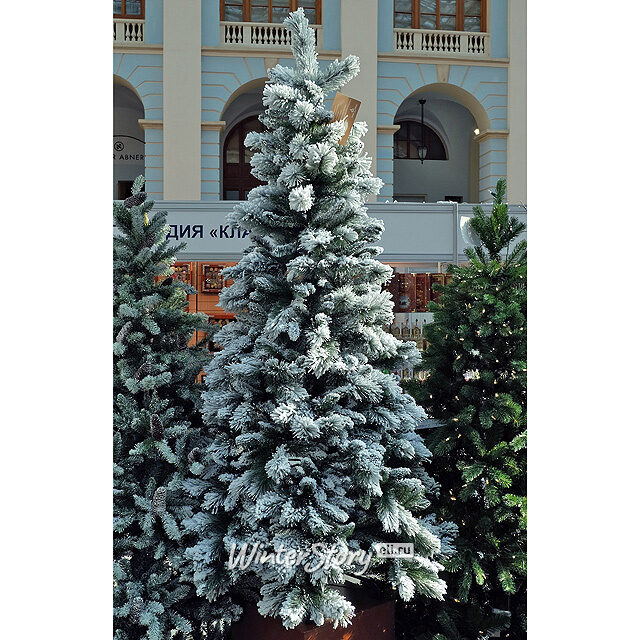 Искусственная елка Вествуд заснеженная 198 cм, ЛЕСКА + ПВХ National Tree Company (Нейшнл Три Компани)