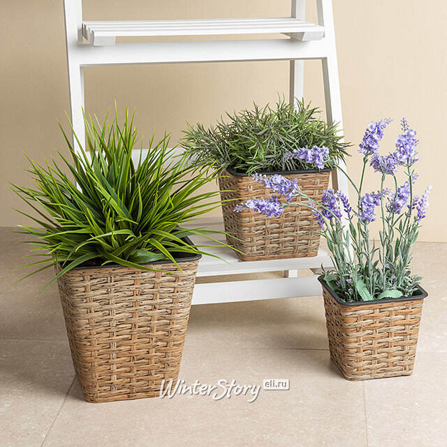 Набор декоративных кашпо Willow Twigs 13-20 см, 3 шт Koopman