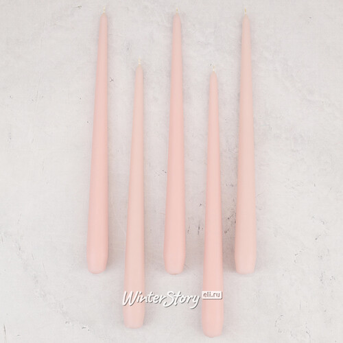 Высокие свечи Андреа Velvet 30 см, 5 шт, розовые пудровые Candleslight