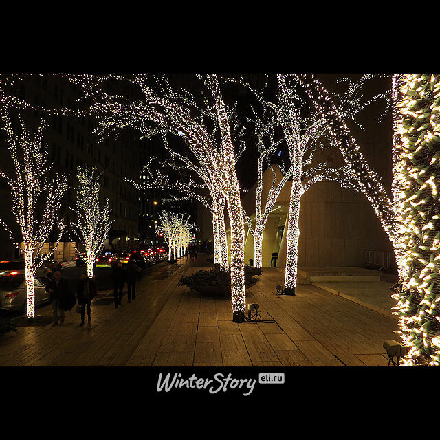 Клип Лайт - Спайдер Premium Led 60 м, 600 шампань LED ламп, прозрачный СИЛИКОН, контроллер, IP54 BEAUTY LED