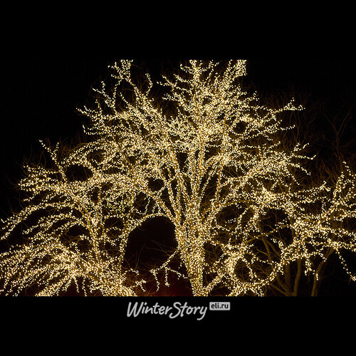 Гирлянды на дерево Клип Лайт - Спайдер 100 м, 900 шампань LED, черный СИЛИКОН, IP54 BEAUTY LED