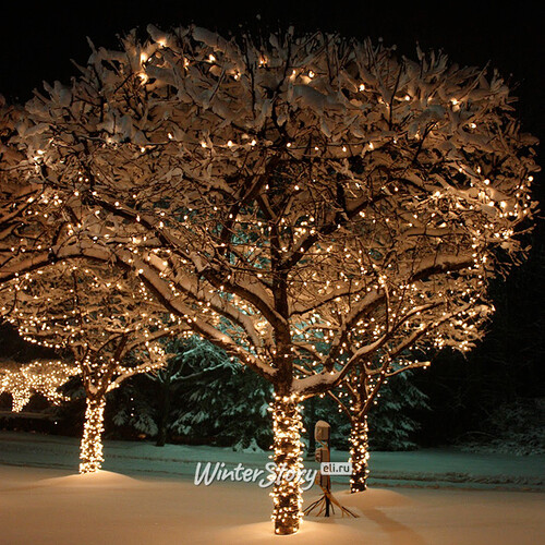 Гирлянды на дерево Клип Лайт Legoled 60 м, 600 теплых белых LED, мерцание, черный КАУЧУК, IP44 BEAUTY LED