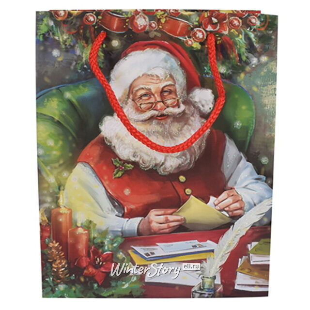 Подарочный пакет Senior Claus 18*14 см Due Esse Christmas