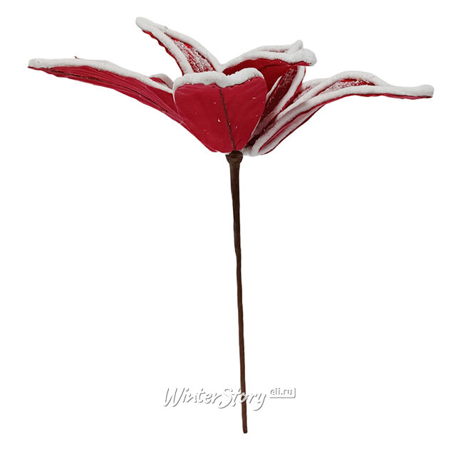 Пуансеттия Georgette 30 см красная, на стебле Due Esse Christmas