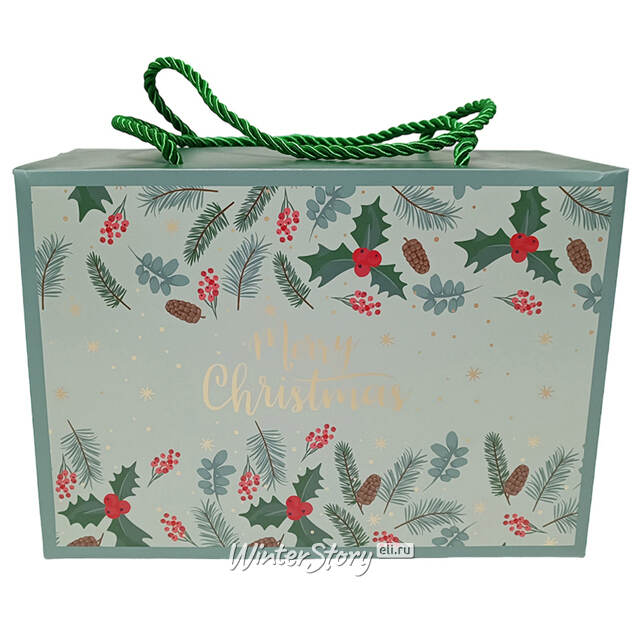 Подарочная пакет-коробка Dai Amore - Сувенир 27*20 см Due Esse Christmas (Ду Эссе Кристмас)