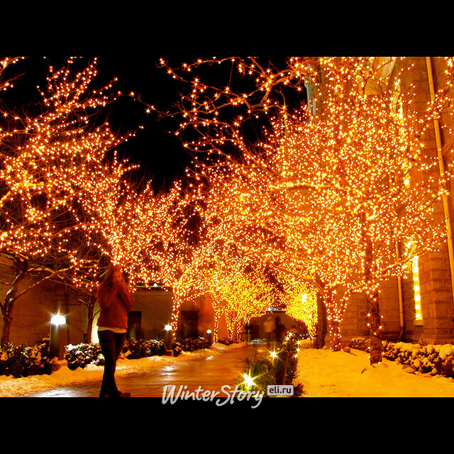 Клип Лайт - Спайдер Premium Led 60 м, 600 желтых LED ламп, прозрачный СИЛИКОН, IP54 BEAUTY LED