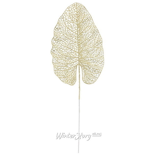 Декоративный лист Ажурная Калатея 67 см светло-золотой Koopman