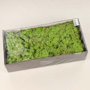 Декоративный мох Mica зеленый, 500 г Edelman фото 2