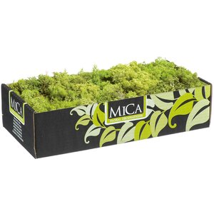 Декоративный мох Mica светло-зелёный, 50 г Edelman фото 1