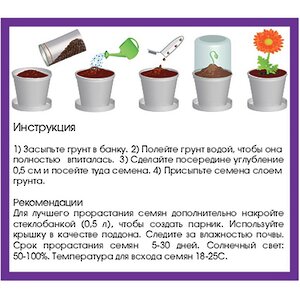 Набор для выращивания цветка Пион Rostokvisa фото 4