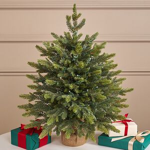 Елка настольная с гирляндой 60 см Вербье, 50 теплых белых LED ламп, контроллер, ЛИТАЯ 100% Winter Deco фото 3