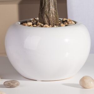 Искусственный бонсай Зантоксилум 33 см Boltze фото 3