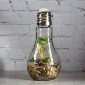 Декоративный подвесной светильник - флорариум Лампочка с Крассулой 18 см, теплая белая LED подсветка, стекло, IP20 Boltze фото 2