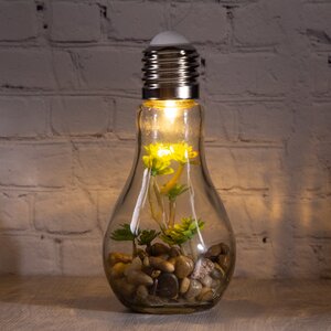 Декоративный подвесной светильник - флорариум Лампочка с Крассулой 18 см, теплая белая LED подсветка, стекло, IP20