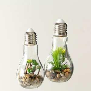 Декоративный подвесной светильник - флорариум Лампочка с Агавой 18 см, теплая белая LED подсветка, стекло, IP20 Boltze фото 4
