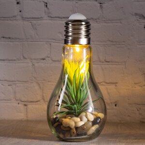 Декоративный подвесной светильник - флорариум Лампочка с Агавой 18 см, теплая белая LED подсветка, стекло, IP20 Boltze фото 1