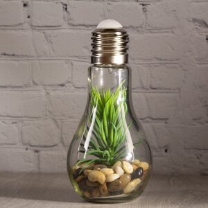Декоративный подвесной светильник - флорариум Лампочка с Агавой 18 см, теплая белая LED подсветка, стекло, IP20 Boltze фото 2