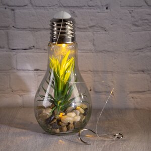 Декоративный подвесной светильник - флорариум Лампочка с Агавой 18 см, теплая белая LED подсветка, стекло, IP20 Boltze фото 5