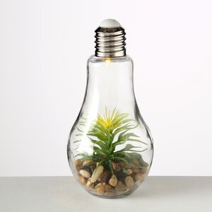 Декоративный светильник - флорариум Лампочка с Агавой 23 см, теплая белая LED подсветка, стекло, IP20 Boltze фото 1
