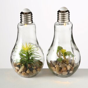 Декоративный светильник - флорариум Лампочка с Крассулой 23 см, теплая белая LED подсветка, стекло, IP20 Boltze фото 3
