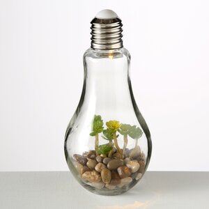Декоративный светильник - флорариум Лампочка с Крассулой 23 см, теплая белая LED подсветка, стекло, IP20 Boltze фото 1