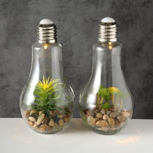 Декоративный светильник - флорариум Лампочка с Крассулой 23 см, теплая белая LED подсветка, стекло, IP20 Boltze фото 2