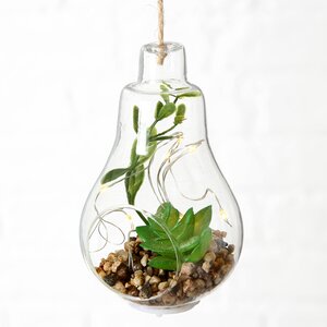 Декоративный подвесной светильник - флорариум с суккулентами Эхеверия и Шлюмбергера 12 см, IP20 Boltze фото 1