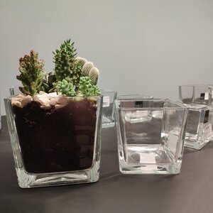 Стеклянная ваза Магнус 14*14 см Edelman фото 2