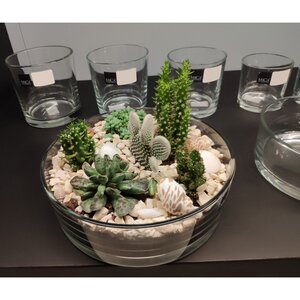 Плоская ваза Пенелопа 15*8 см, стекло Edelman фото 2