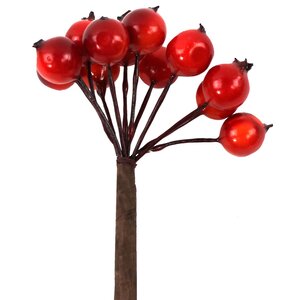 Декоративные ягоды Шиповника для букетов 12 шт*50 см красные Hogewoning фото 1