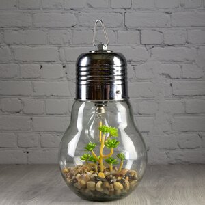 Декоративный подвесной светильник - флорариум Лампочка с Крассулой 23 см, теплая белая LED подсветка, IP20 Boltze фото 2