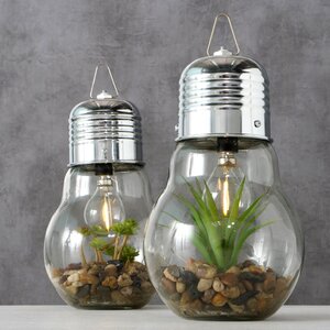 Декоративный подвесной светильник - флорариум Лампочка с Крассулой 23 см, теплая белая LED подсветка, IP20 Boltze фото 4